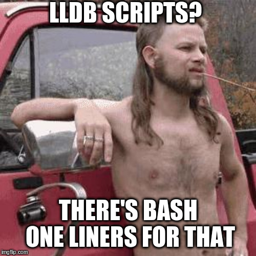 almost redneck meme captioned lldb scripts? there's bash oneliners for that